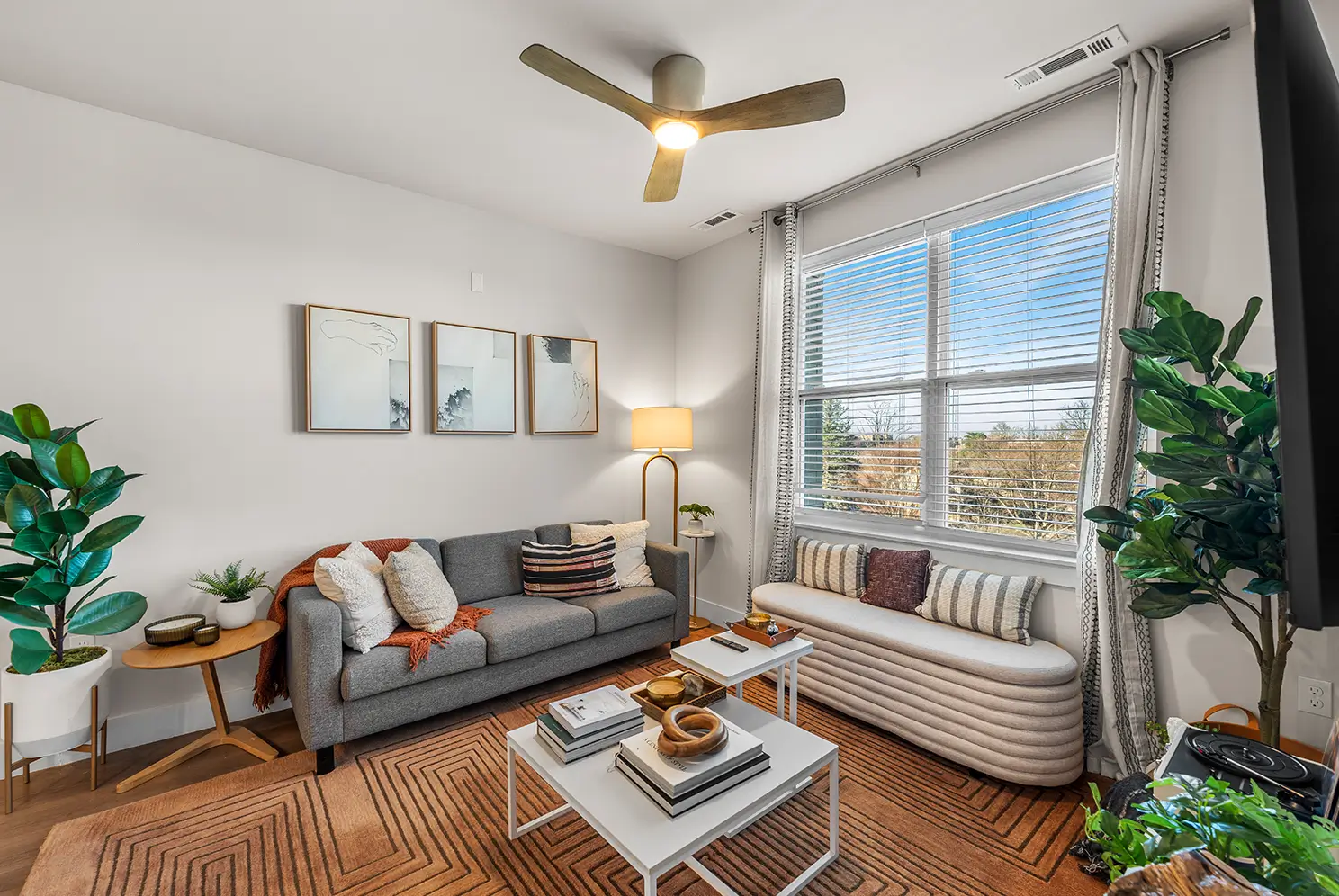furnished living room