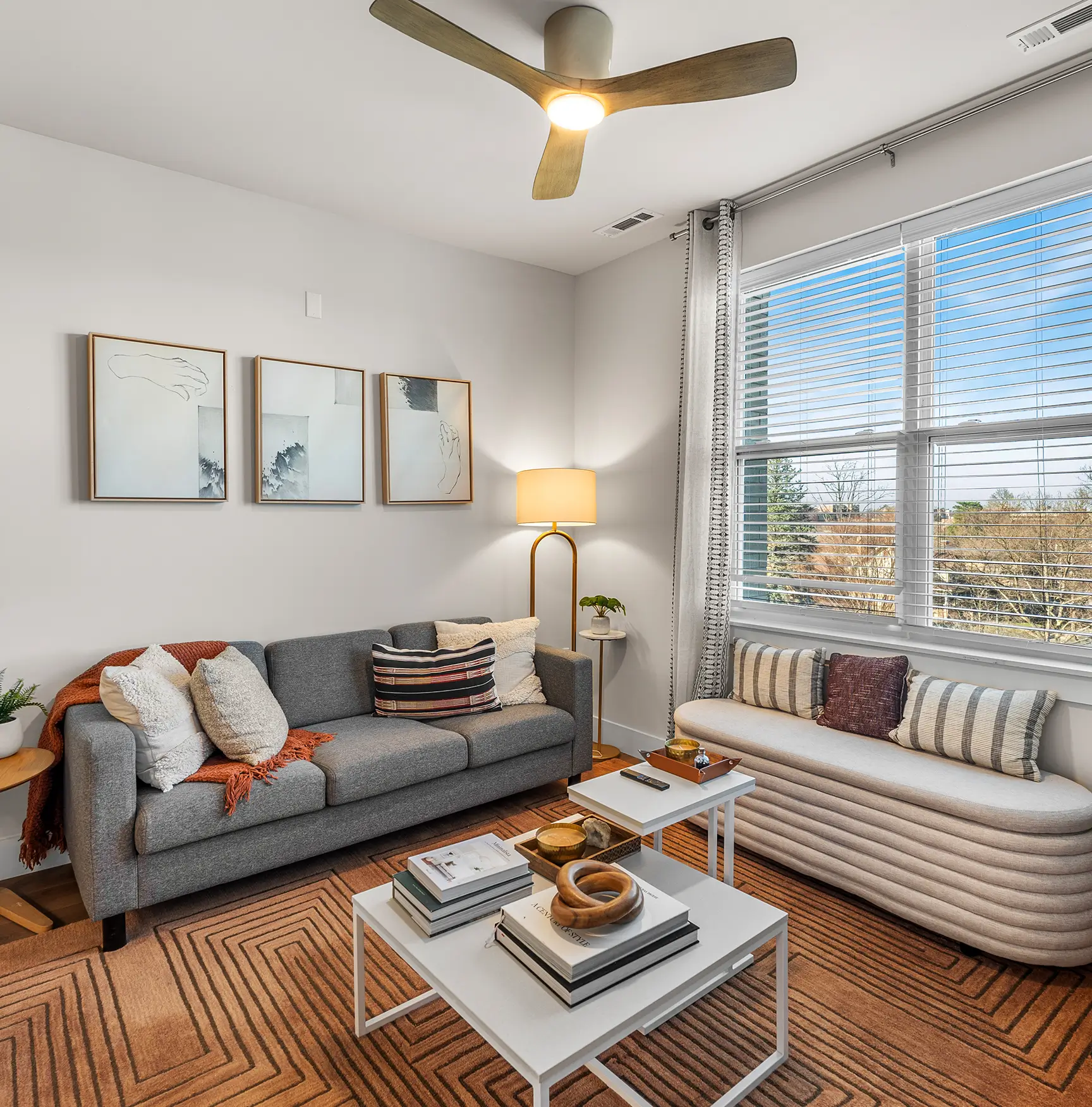 furnished living room